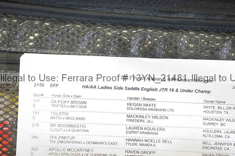 Proof 13yn_21481