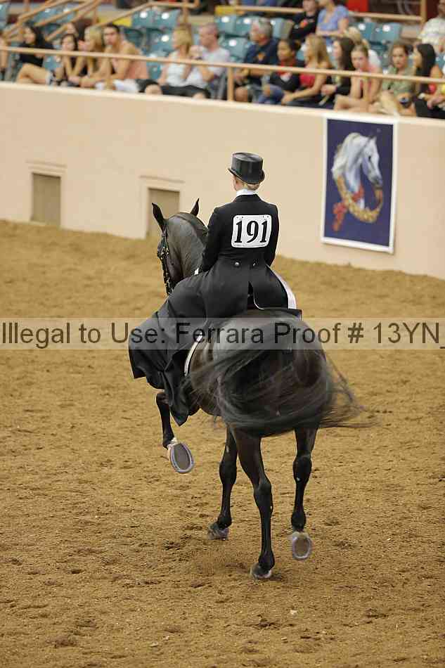 Proof 13yn_21491