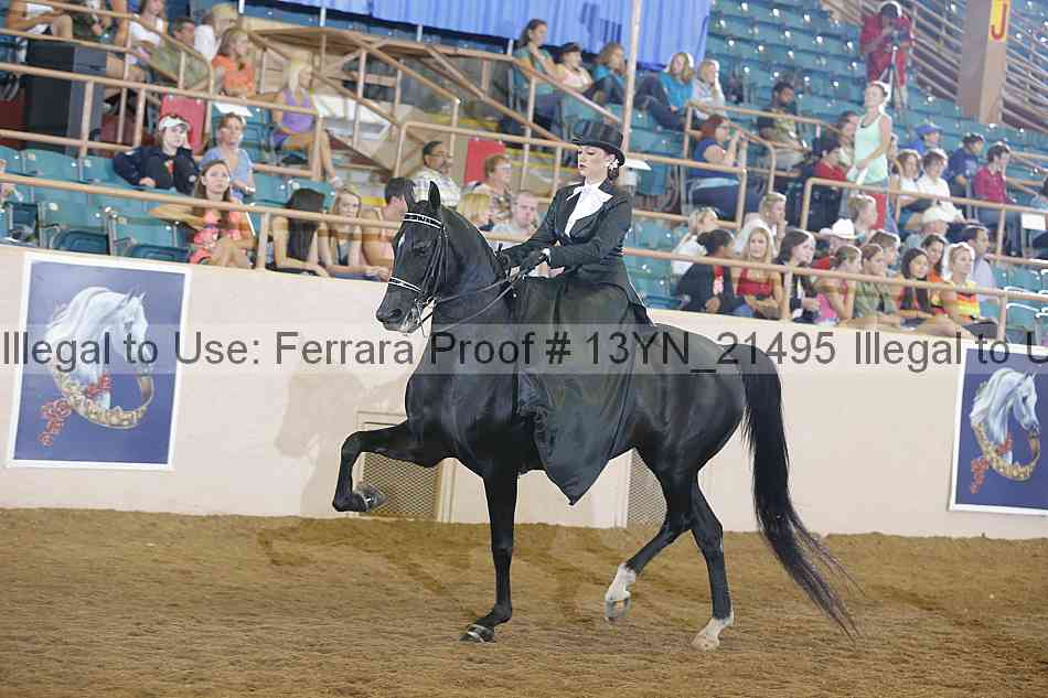 Proof 13yn_21495
