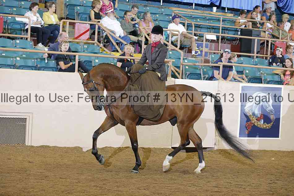 Proof 13yn_21513