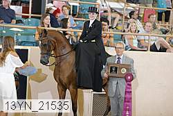 13yn_21535 proof