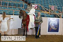 13yn_21576 proof
