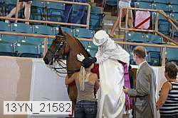 13yn_21582 proof