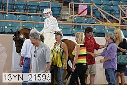 13yn_21596 proof