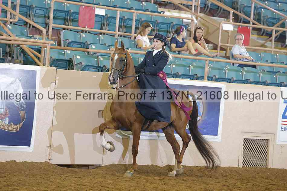 Proof 13yn_21608