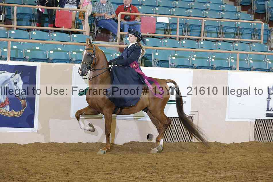 Proof 13yn_21610