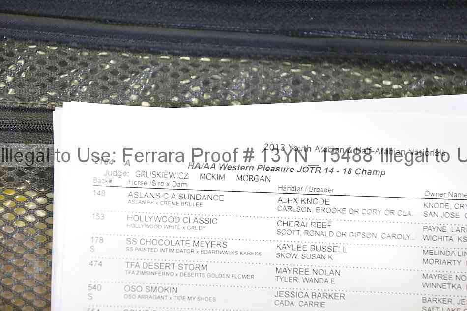 Proof 13yn_15488
