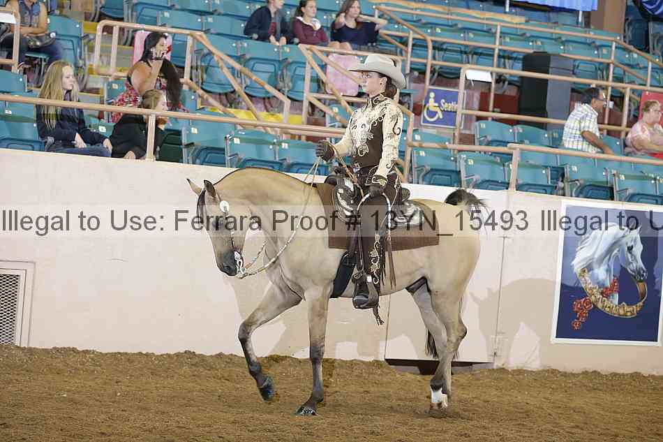 Proof 13yn_15493