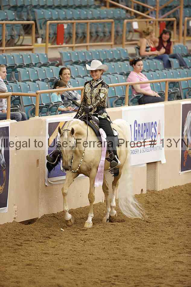Proof 13yn_15539