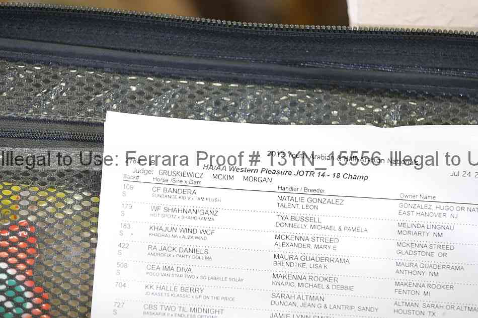 Proof 13yn_15556