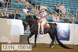 13yn_15614 proof