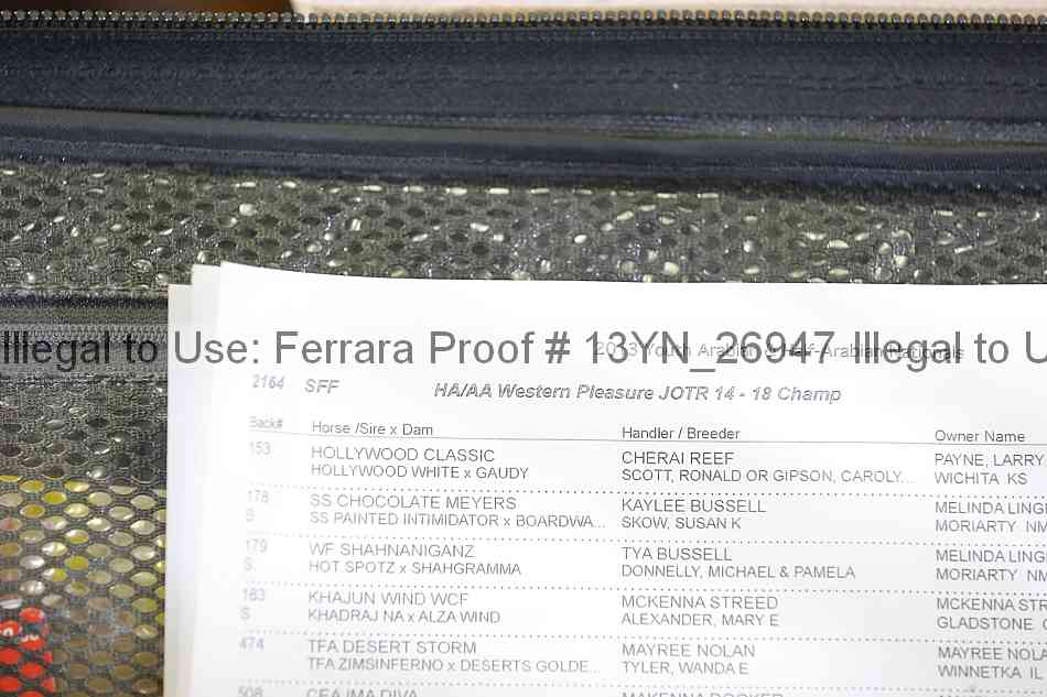 Proof 13yn_26947