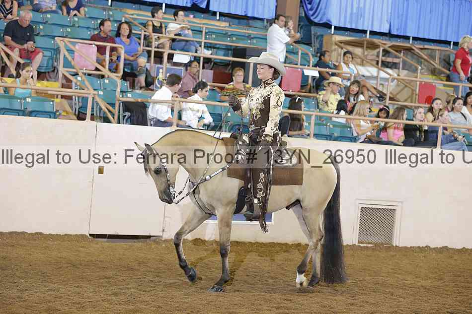 Proof 13yn_26950