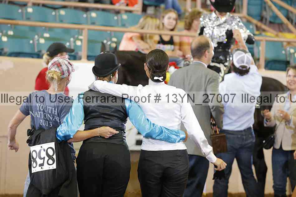 Proof 13yn_27007