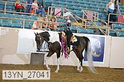 13yn_27041 proof