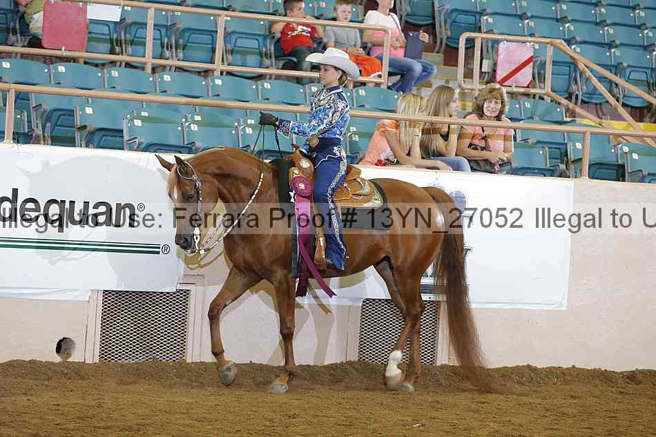 Proof 13yn_27052
