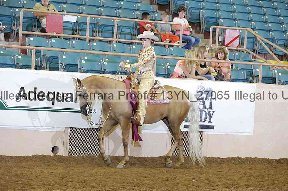 Proof 13yn_27065