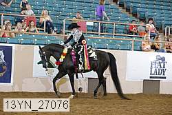 13yn_27076 proof