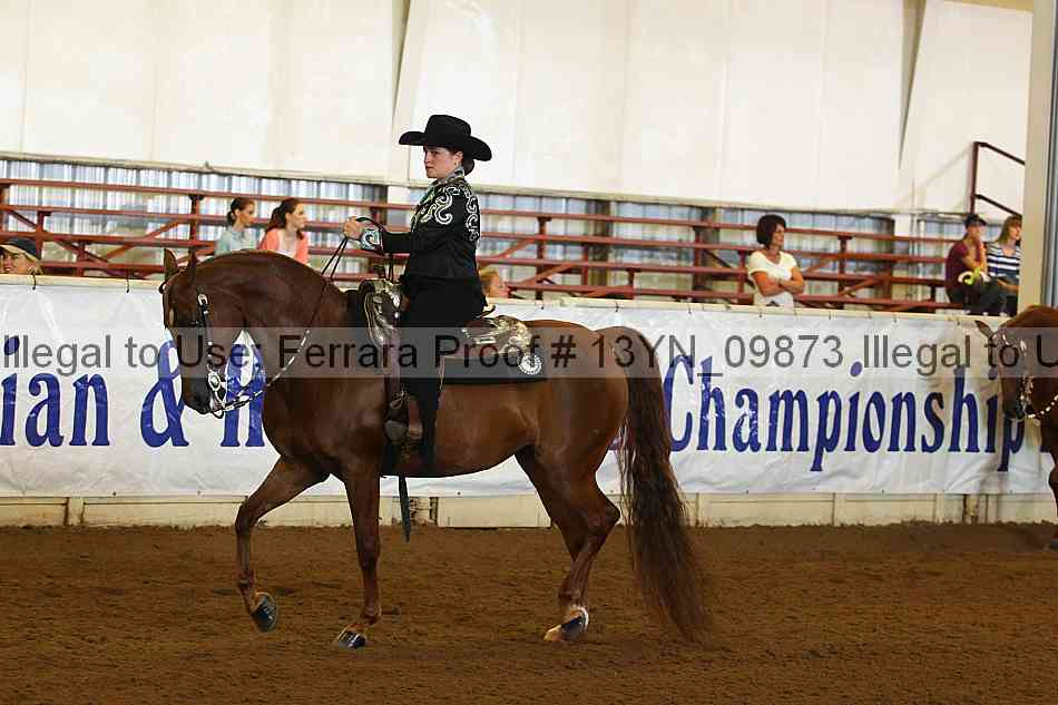 Proof 13yn_09873