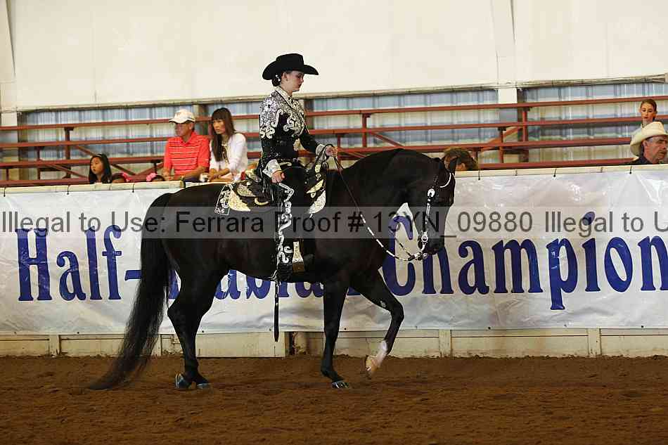 Proof 13yn_09880