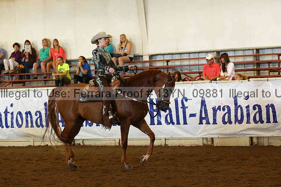 Proof 13yn_09881