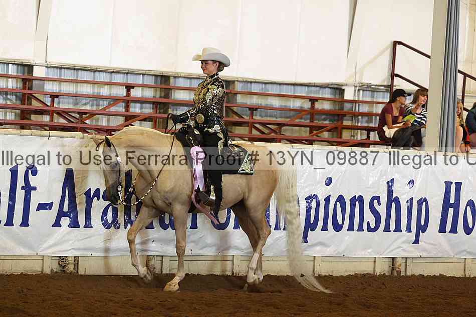 Proof 13yn_09887