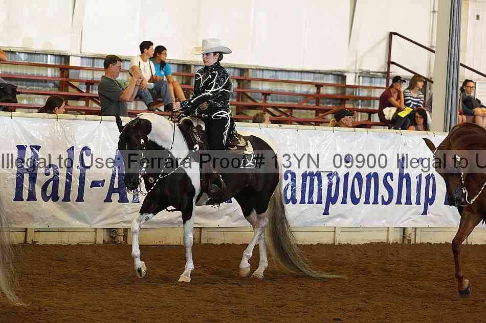 Proof 13yn_09900