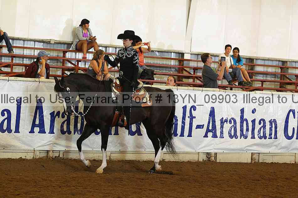 Proof 13yn_09903