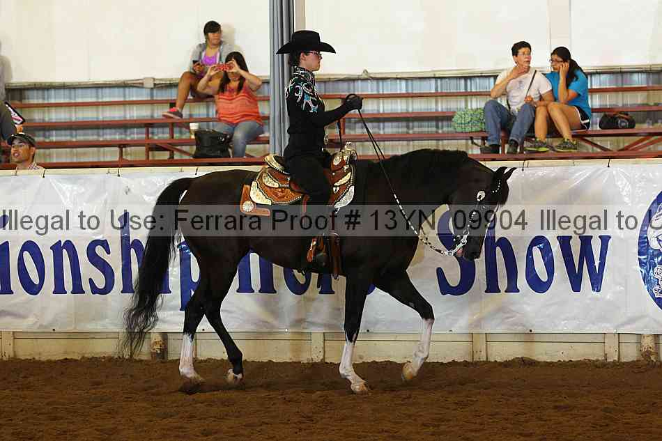 Proof 13yn_09904