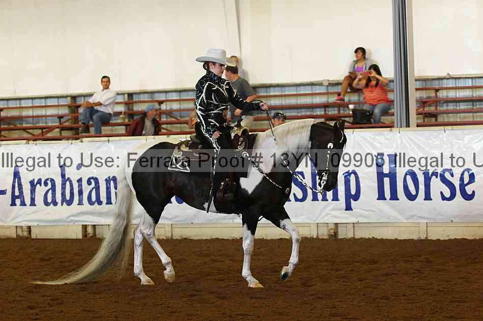 Proof 13yn_09905