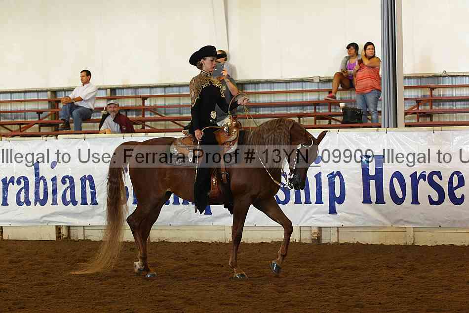 Proof 13yn_09909