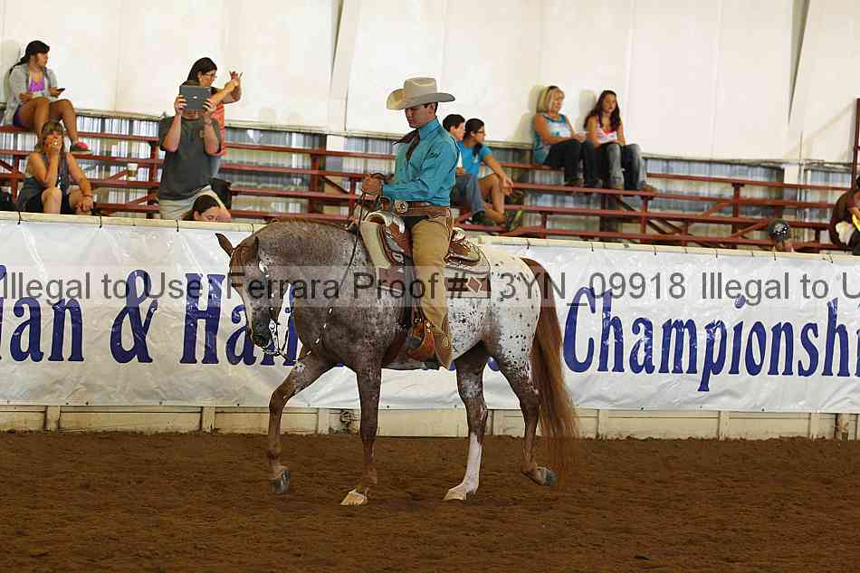 Proof 13yn_09918
