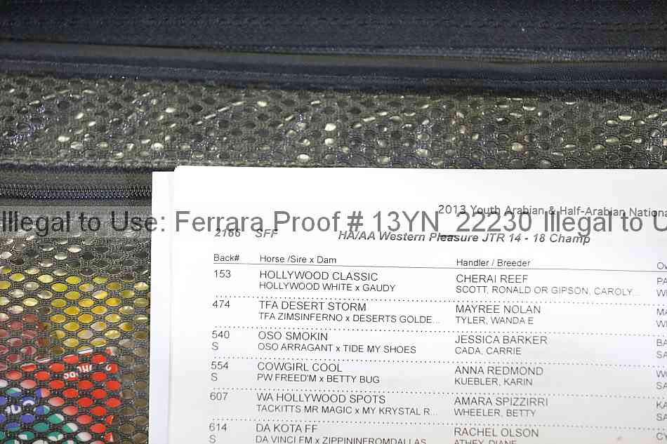 Proof 13yn_22230