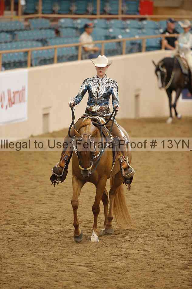 Proof 13yn_22257