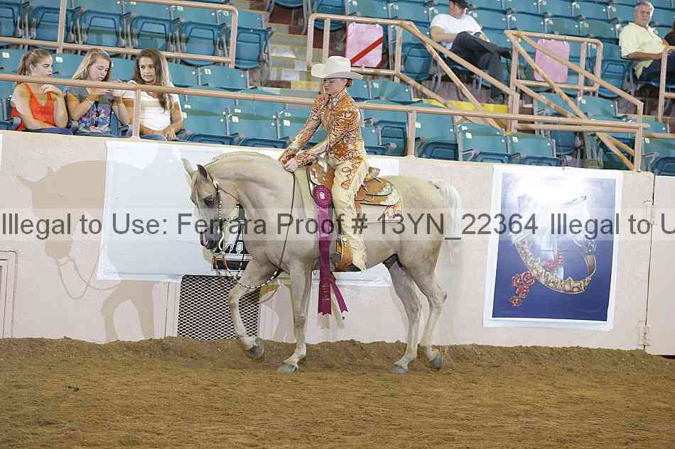 Proof 13yn_22364