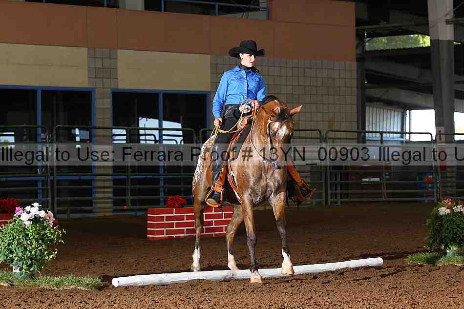 Proof 13yn_00903