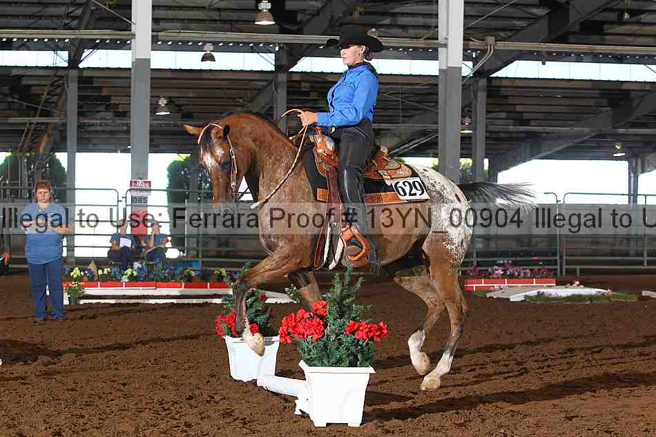 Proof 13yn_00904