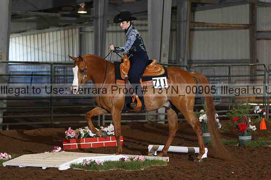 Proof 13yn_00905