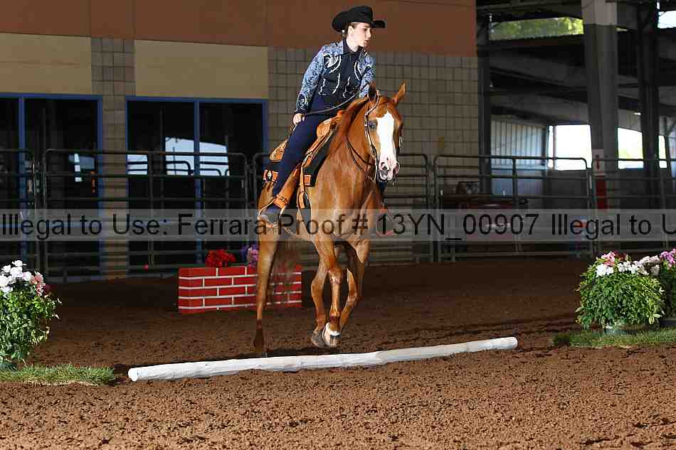 Proof 13yn_00907