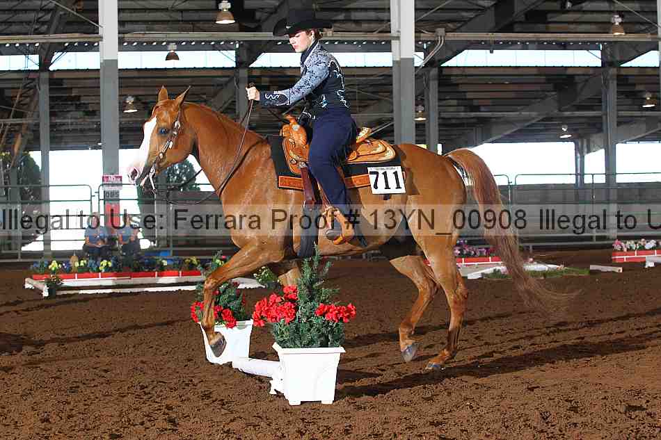 Proof 13yn_00908
