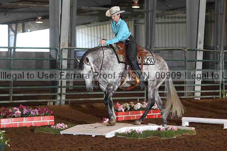 Proof 13yn_00909