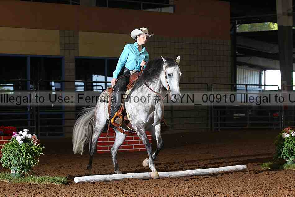 Proof 13yn_00910