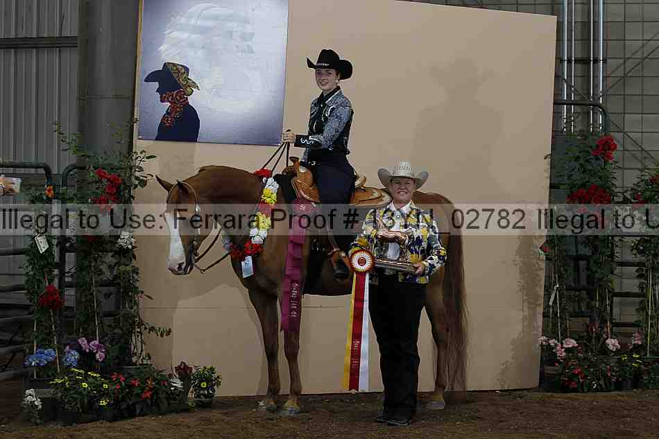 Proof 13yn_02782
