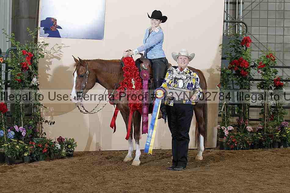 Proof 13yn_02784