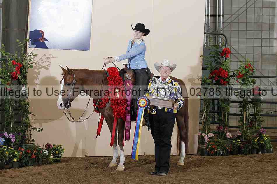 Proof 13yn_02785