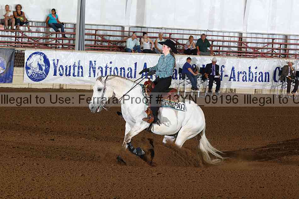 Proof 13yn_09196