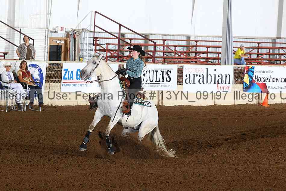 Proof 13yn_09197