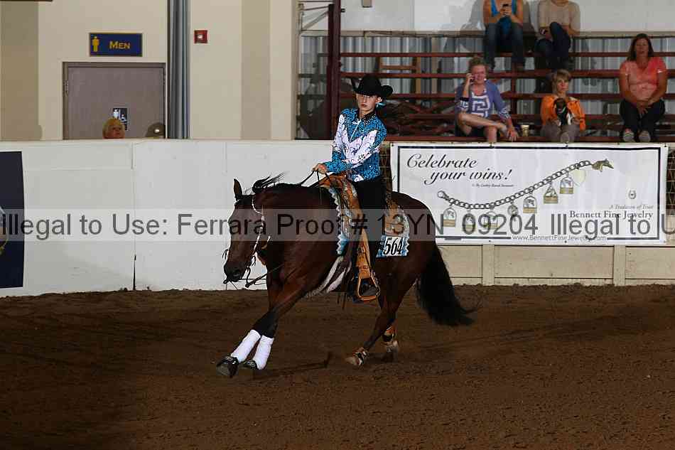 Proof 13yn_09204