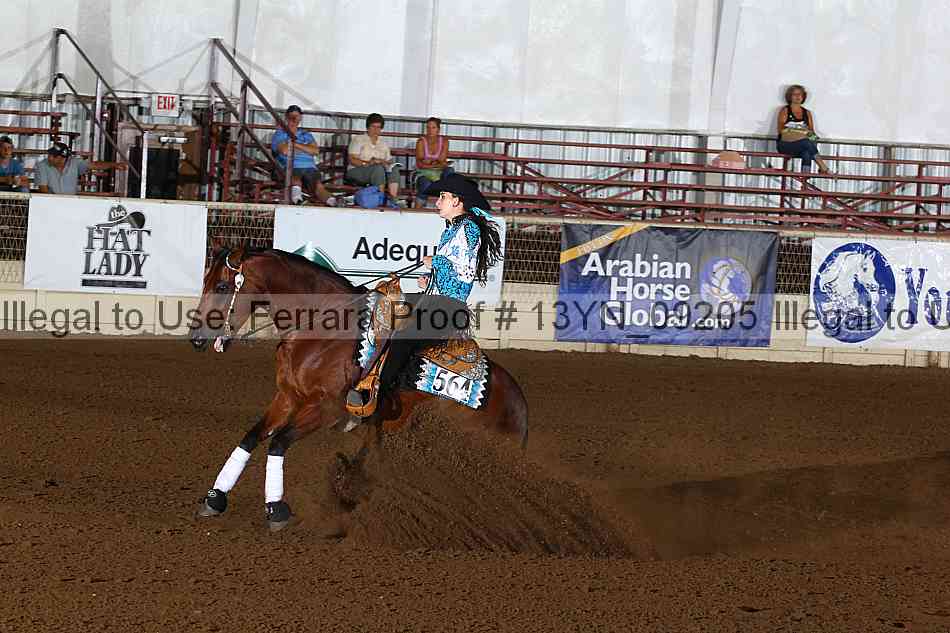 Proof 13yn_09205