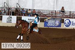 13yn_09205 proof